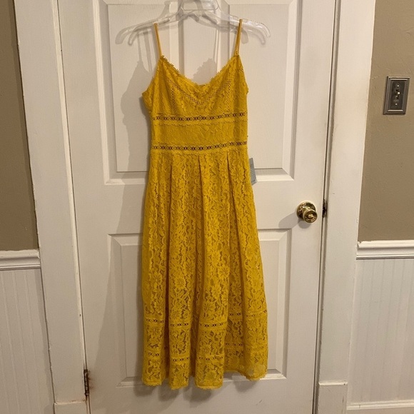 NSR Dresses & Skirts - NEW NSR Lace Midi Dress